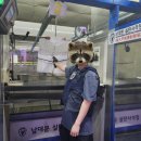 네버슬립독 | 이브,프시케,그리고 나의 일상