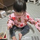 한영할인마트 이미지