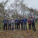 무안영산 이미지