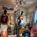 꼬알라파이 이미지