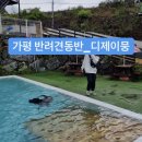 디제이 뭉 | 가평 반려견동반펜션_디제이뭉(2021.5.1~2)