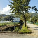 피노키오관광농원 이미지