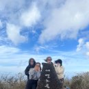 나원목장 이미지