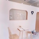 애견부티크 이미지