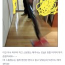 두산로 | 영등포 동작 포장이사업체 영구이사 내돈내산 후기