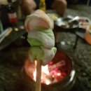 사계절오토캠핑장 이미지