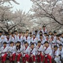 무혼 국가대표 MAS 태권도장 이미지