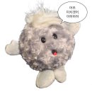 묵호잠자리 | [묵호 여행 part 1.] 목포 아니고 묵호인데요 (카라멜스테이션 숙소 추천)