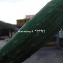 혜정이네농장