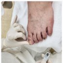 레푸스 호매실점 이미지