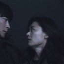 스텔라영