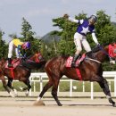 위너스타 이미지