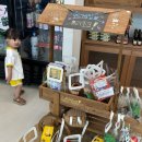 아마존 | 천안 근교 아기랑 글램핑 당진 아마존 스테이 후기
