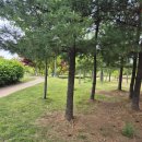 소리천로(2) 이미지