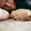 탑스동물메디컬센터 이미지