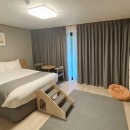 더 펫츠 이미지