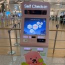 가스트로미J K | [코타키나발루 자유여행] 땡처리닷컴, 말레이시아 디지털입국신고서, 더시가앳수테라베이