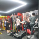 단기간다이어트 운동 추천 사당/이수역pt 헬스장 어울림 바디클리닉pt 후기