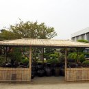 곤양초등학교 이미지