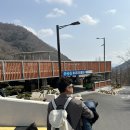 월아산 우드랜드 | 연년생남매육아: 진주아이랑함께 해보는 월아산 유아 숲체험