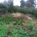 서홍동-3 이미지