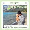 수채화 물빛그림 | 로키에서 딱 한 곳만 가라면 여기! 밴프 보우 레이크