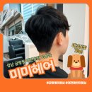 미미헤어 | 성남 금광동 애견동반 미용실 미미헤어 남자 커트 후기