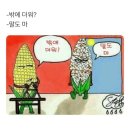 [슈퍼리얼사커스토어] 토트넘 23/24 어웨이 유니폼 마킹 후기 (주차, 가격정보, 근처 맛집등등)