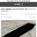 애플펜슬 중고거래 했는데 이거 뭐임 이미지