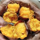 진짜 헬스장 이미지