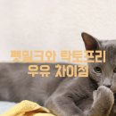 밀크 이미지