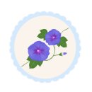 바른녹즙 이미지