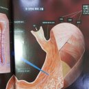 호성한의원 이미지