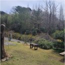 초이지아 이미지