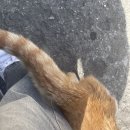 플러팅테라피 이미지