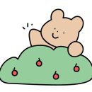 성산 동백소랑 이미지