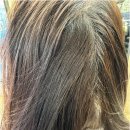 더블유헤어 이미지