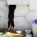 아무도없소