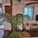 제주독채펜션돌담감성숙소밭담점 | 제주스러운 프라이빗한 숙소 후기 [제주도독채펜션 돌담감성숙소 밭담점]