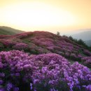 지리산 이미지