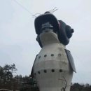 보보나인