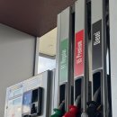 (삼표에너지) 우리주유소 | 시드니로 이동, 소피텔 시드니 달링하버 달링하버뷰 숙박후기(룸서비스, 불꽃놀이, 캥거루인형)