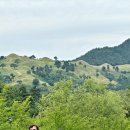 대가야역사테마관광지 대가야펜션 이미지