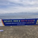 동해-단속-11 강원도민일보