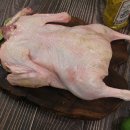 주남오리알 이미지