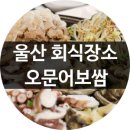 오문어보쌈 이미지