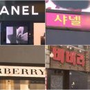 스타박씨 머니투데이