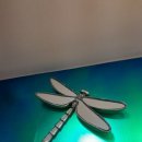 아르노피부과의원 이미지