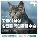 영동동물병원 이미지