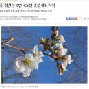 4월 답사-3일(수) 쌍계사 십리벚꽃 이미지